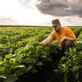 „Swedbank“ kartu su estų startuoliu skatina ūkininkus skirti daugiau dėmesio tvarumui