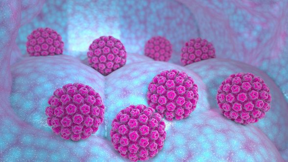 Nepastebimas virusas, kuriuo per gyvenimą užsikrečia dauguma: gali sukelti net kelių rūšių vėžį