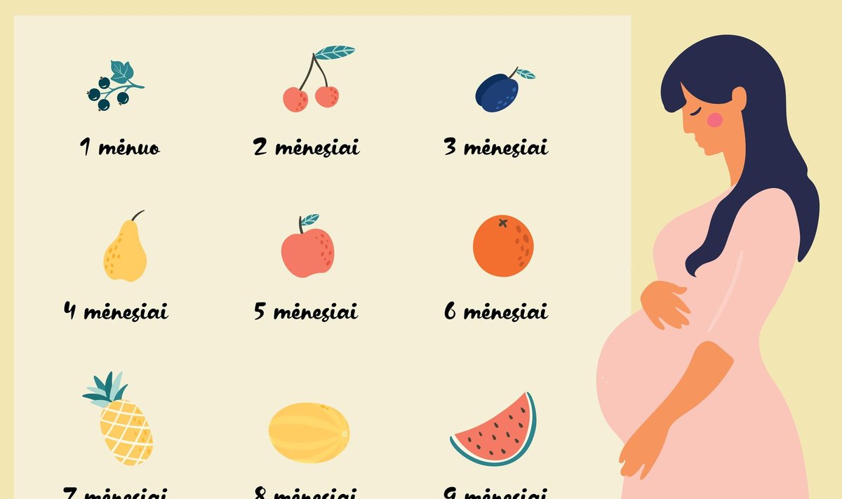 Kiekvieną nėštumo mėnesį jūsų kūdikio dydis prilygsta atitinkam vaisiui.
