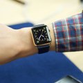 Beprasmis auksinio „Apple Watch“ sunaikinimas magnetų gniaužtuose