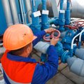 Экономист: Европе нужно еще на 7% сократить потребление газа, чтобы не импортировать его по трубопроводам из России