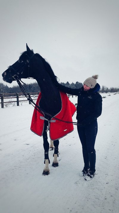 Jau 11 metų su žirgais draugaujanti Martyna Dovydaitė tikina, kad žirgais tenka rūpintis net ir šaltukui spaudžiant.