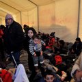 ООН: Европа может сделать для беженцев намного больше
