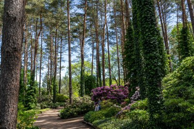 Vilniaus universiteto (VU) botanikos sodas nuotraukos