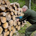 Miško vagims atėjo juodos dienos: miškininkai išbandė slaptas blakes