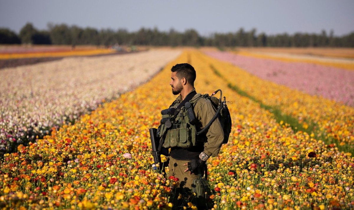 Izraelio karys Gazos ruože