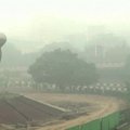 Nuo oro taršos dūstančiame Delyje specialus baras siūlo gaivaus oro gurkšnį