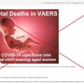 Meluoja, kad COVID-19 vakcinos sukelia nevaisingumą ir persileidimus