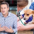 Augintinio senatvė gali būti nelengva: veterinaras įspėjo, kas rodo, kad gyvūnas kenčia