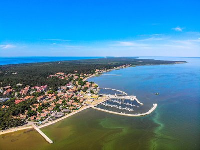 Nidos pakrantę skalaujančiose Kuršių mariose užfiksuotas dumblių „žydėjimas“ 