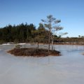 Vokiečių biologas: Lietuvoje yra tai, kas gelbės nuo potvynių ir perkaitimo