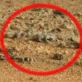 Tinklaraštininkai: „Curiosity“ Marse nufotografavo driežą