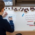 В Литве призывают сделать детский сад обязательным для всех детей