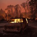 ФОТО, ВИДЕО: на севере Калифорнии бушуют лесные пожары