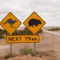 Autostopu per Australiją - sudėtinga, bet kartu ir egzotiška kelionė