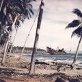 1943 m. smaragdinės salos rojus virto pragaru: vienintelis išsigelbėjimas buvo mesti ginklą, bet niekas to nepadarė