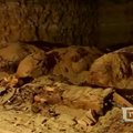 Egipte mokslininkai rado maždaug 30 mumijų