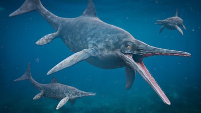 Šveicarijos Alpėse aptiktos iki šiol didžiausio ichtiozauro fosilijos. Heinz Furrer/Rosi Roth/University of Zurich nuotr.