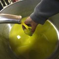 В Литве расследуют, не попало ли в страну фальшивое оливковое масло