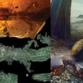 Gintaro gabalėlyje – amžiams įstrigęs padaras, gyvenęs kartu su dinozaurais: mokslininkai tokio iki šiol dar nebuvo matę