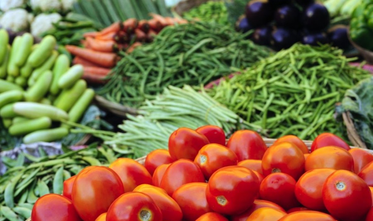 Lietuva, palyginus su kitomis valstybėmis, yra gausi savo maisto produktų ištekliais, todėl daugelį daržovių ar vaisių galime užsiauginti patys.