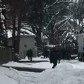 В Каунасе на одной улице из-за обильного снега упали электрические столбы