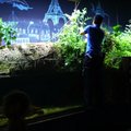 Paryžiaus akvariumo darbuotojai puoselėja ekologišką daržą: nustebsite sužinoję, ką naudoja vietoj trąšų