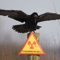 Incidentas Rusijos AE: padidėjusi radioaktyvioji tarša Lietuvai primena apie kitą problemą