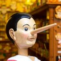 Ekspertė: melą galima atpažinti iš mikrojudesių