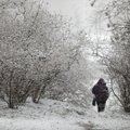 Lietuvoje prasidėjo paskutinis rudens mėnuo: sinoptikas pasakė, kokios žiemos galime tikėtis