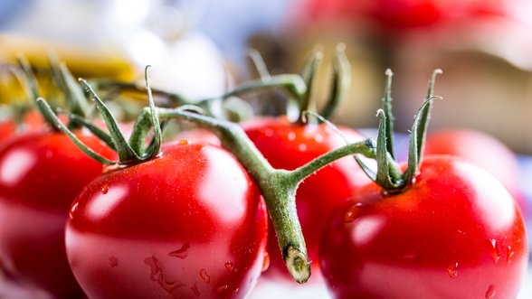 Garsi pomidorų augintoja pasidalino kokias veisles pasirinks šiemet
