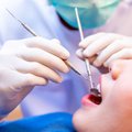 Услуги стоматологов-гигиенистов стали более доступными