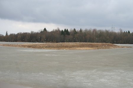 Krivėnų tvenkinio sala