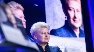 Politikams – Grybauskaitės raginimas: Putinas mums pasirinkimo jau nebepaliko