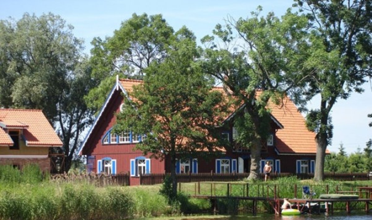 Mingė vasarą