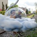 M. Gondry filmas „Gėlėti sapnai“ atidarys tarptautinį Karlovy Vary kino festivalį