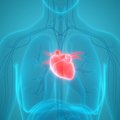 Širdis silpsta net ir būdama jauna: fitoterapeutas pataria, kokių simptomų negalima ignoruoti