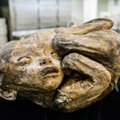 VU antropologai bandys įminti naujagimio mumijos mįsles