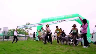 Populiarėjančios šunų ir jų šeimininkų lenktynės pritraukia būrius sporto, gamtos ir gyvūnų mylėtojų
