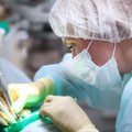 Odontologų rūmai teigia, kad slopinama medikų savivalda: įžvelgė dvigubus standartus