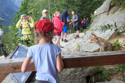 Į kalnus ir su vaikais - Aukštieji Tatrai (Slovakija)