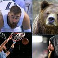Grizlio jėgą rodantis Valančiūnas pagaliau atrado savo guolį NBA lygoje?