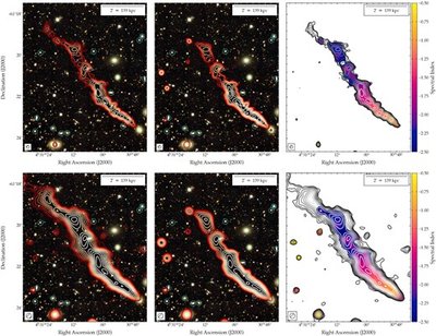 Abell 3266. Christopher Riseley, using data from ASKAP, ATCA, XMM-Newton, and the Dark Energy Survey nuotr.