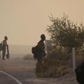 Kalifornijos Mohavių dykumoje su garsiosiomis trumpalapėmis jukomis kilo didelis gaisras