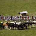 R. Navardauskas „Tour de Romandie“ lenktynių prologe Šveicarijoje užėmė 61-ą vietą
