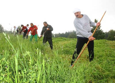 Лукашенко косит траву, фото: БЕЛТА
