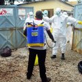 JAV nerimas dėl Ebolos viruso: stebima 80 žmonių