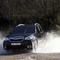 „Subaru Forester“ – visureigis, kuriam jokie keliai nebaisūs