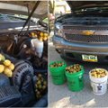 Darbšti voverė Šiaurės Dakotoje prajuokino internetą: atidarius automobilio kapotą vyro laukė staigmena
