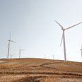 Vyriausybėje – sąlygos vėjo jėgainių gamybai Klaipėdoje